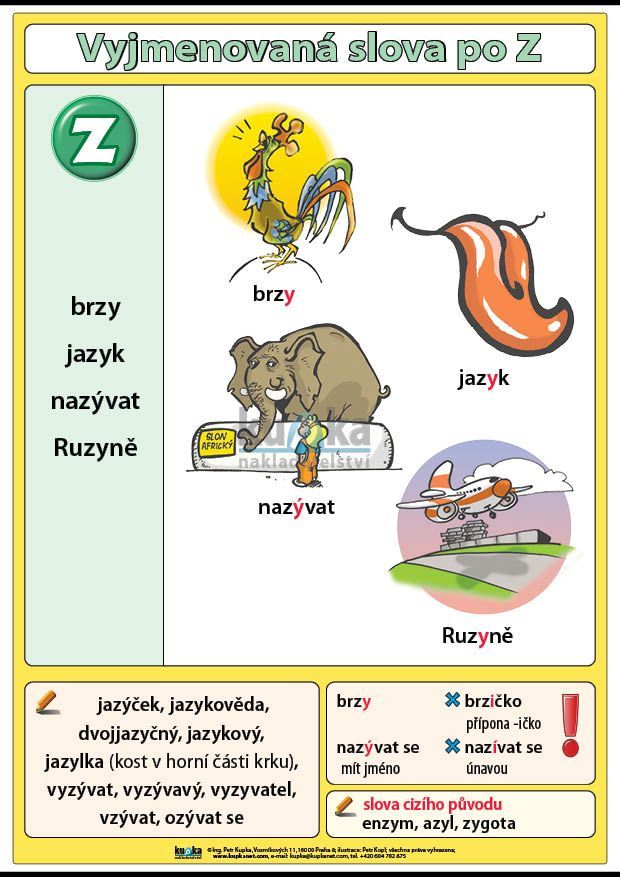Vyjmenovaná slova po Z A4 (30x21 cm)