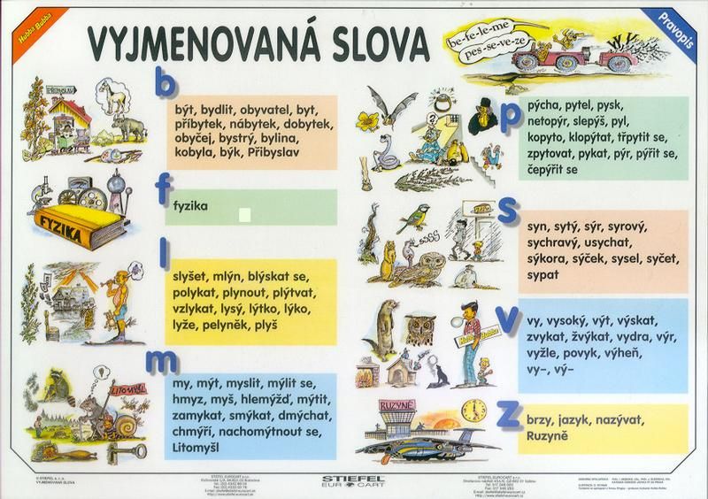 Vyjmenovaná slova/Slovní druhy - tabulka A4