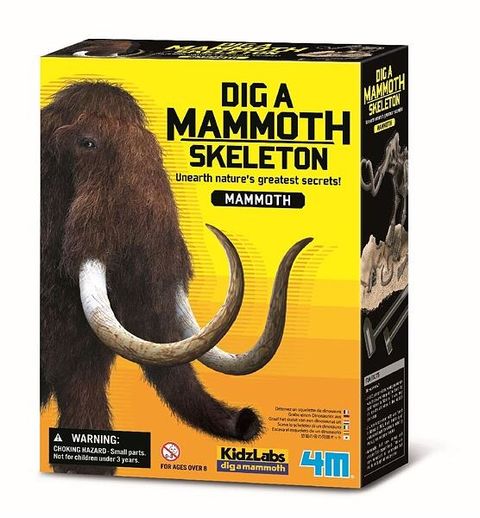 Obrázek produktu: Vykopávky Mamut - 4M KidzLabs