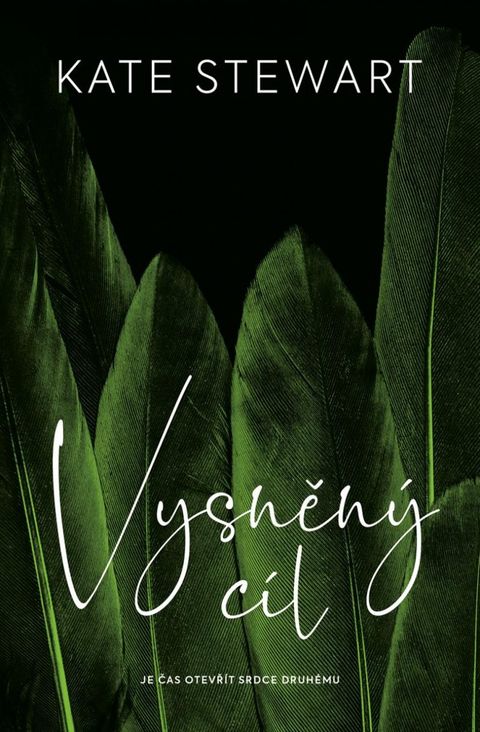 Obrázek produktu: Vysněný cíl