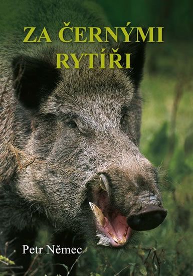 Obrázek produktu: Za černými rytíři