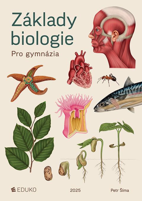 Obrázek produktu: Základy biologie pro gymnázia
