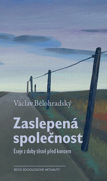 Levně Zaslepená společnost - Eseje z doby těsně před koncem