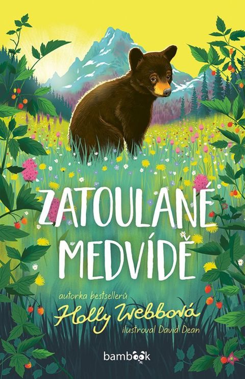 Obrázek produktu: Zatoulané medvídě