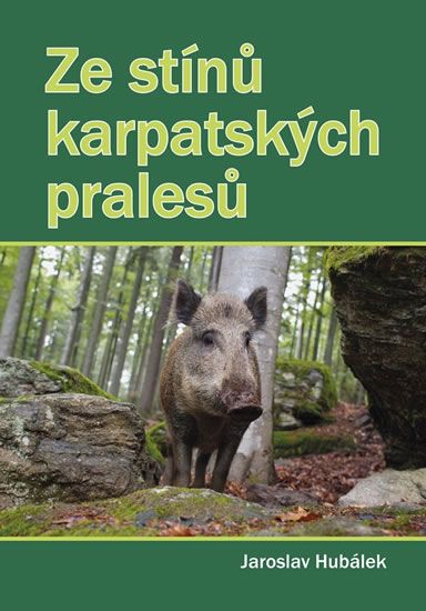 Obrázek produktu: Ze stínů karpatských pralesů