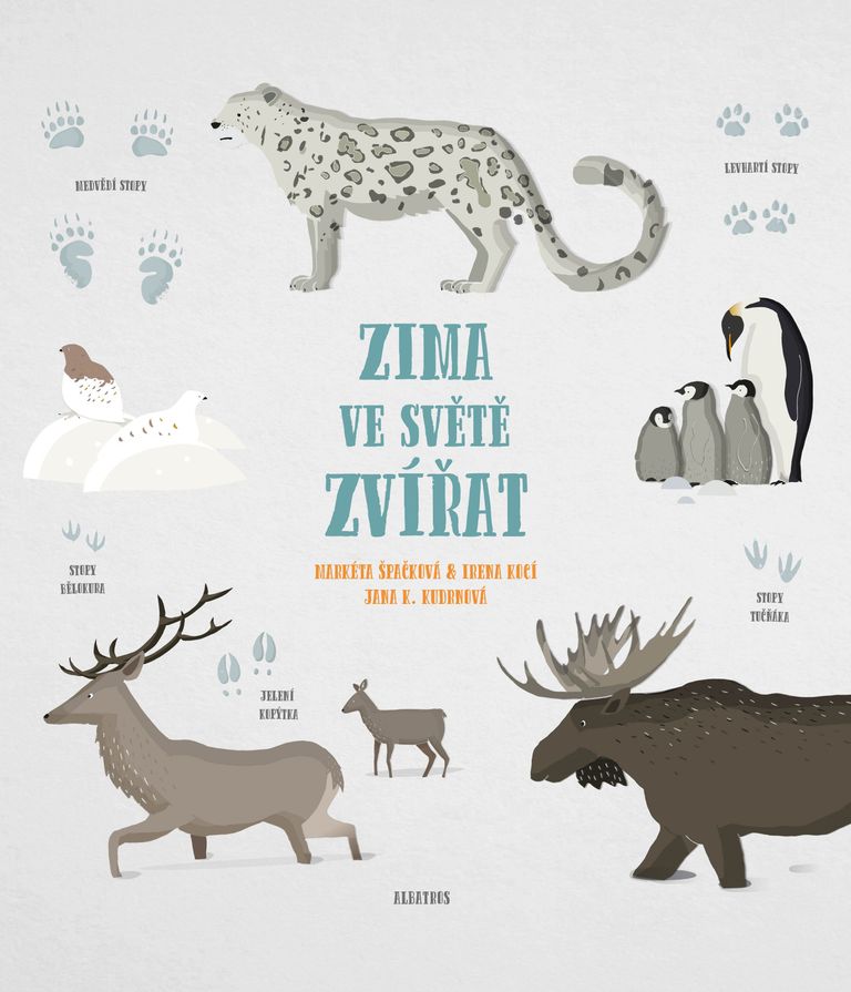 Zima ve světě zvířat - Markéta Nováková, Irena Kocí, Jana K. Kudrnová