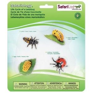 Obrázek produktu: Životní cyklus - Beruška - blistr - Safari Ltd.
