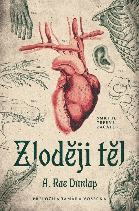 Obrázek produktu: Zloději těl