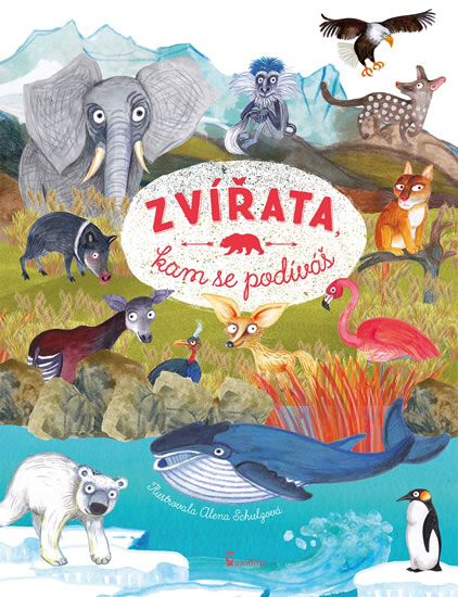 Obrázek produktu: Zvířata, kam se podíváš