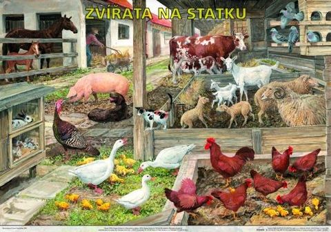 Obrázek produktu: Zvířata na statku - výuková tabule